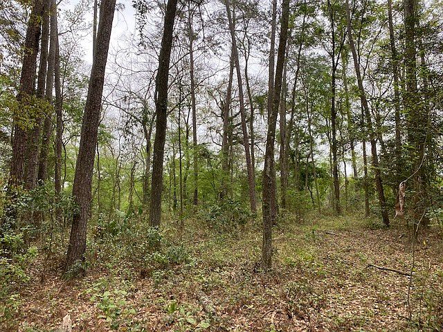 2nd image of LOT 19 NW North Whitewater Trl