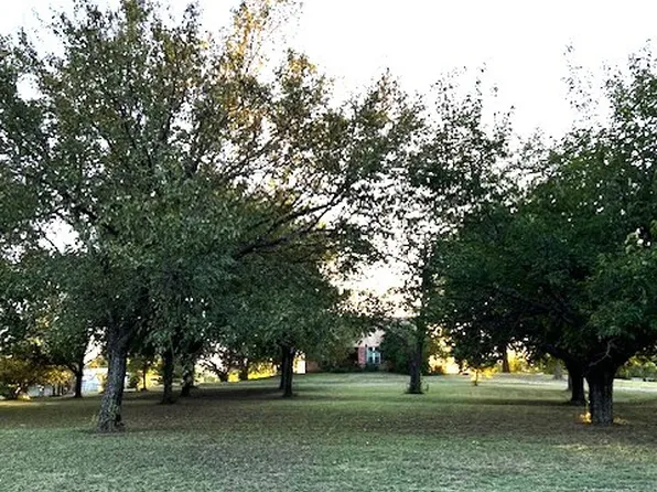 11053 Fm 1377, Blue Ridge, TX 75424