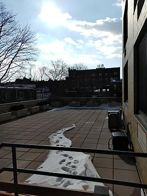 Sold by NYC Living Well Realty LLC | media 49