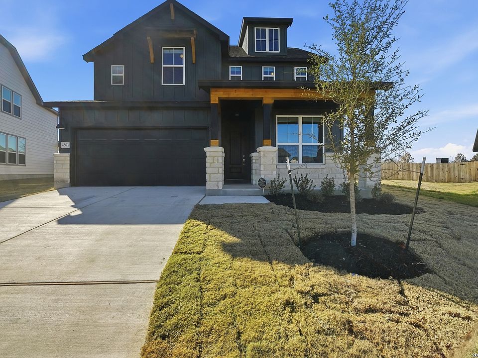 1st image of 4803 Conch Shell