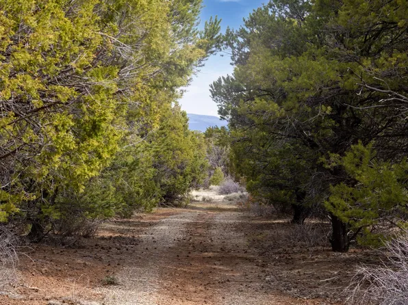 Tbd 43zs, Norwood, CO 81423