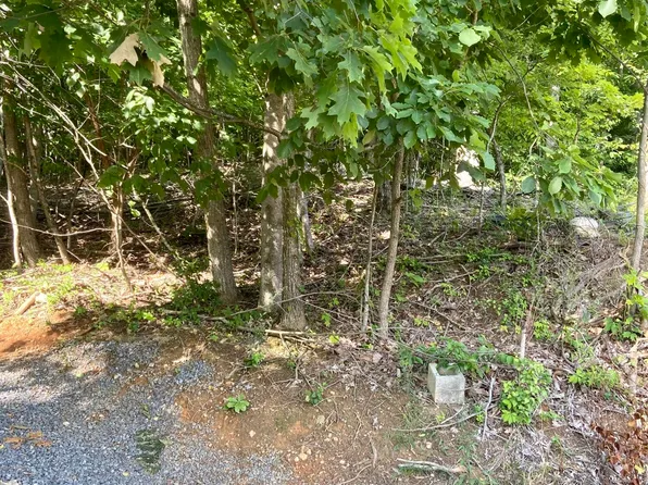 253 Virginia St, Kingsport, TN 37665