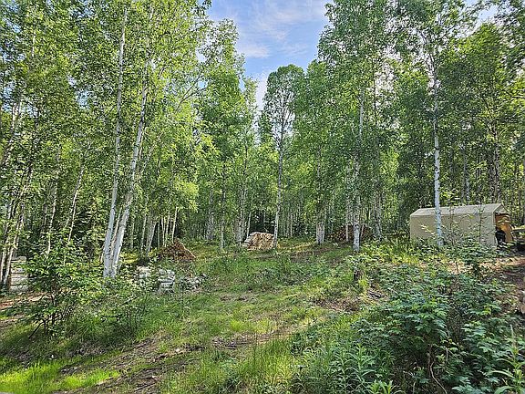 june30 NE yard, firewood