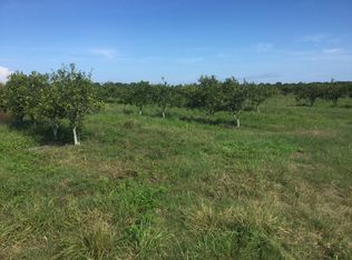 1151 Vandolah Rd, Wauchula, FL 33873