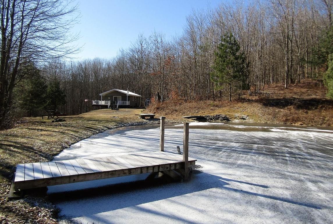 331 Davis Hollow Rd, Andes, NY 13731 Zillow