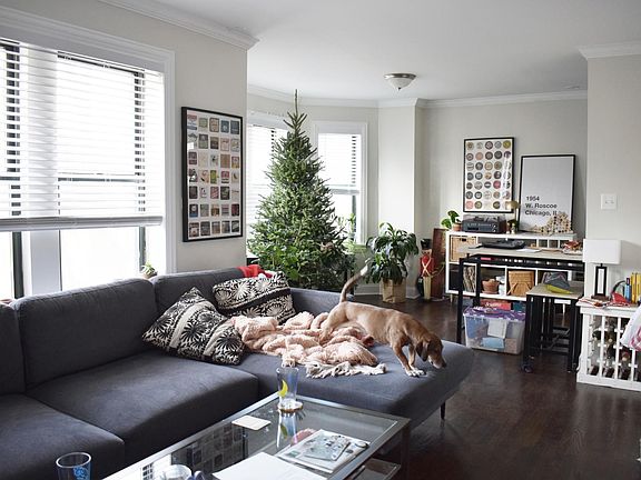 3rd image of 3839-45 N Greenview Ave #2W