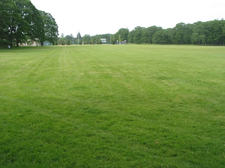 Bush's Pasture Park - the house is in a historic district next to the park.