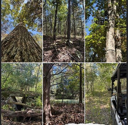 4th image of 0 Lightfoot Fork Rd