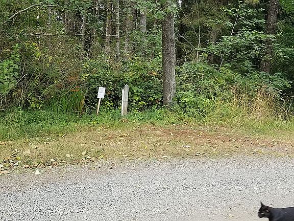 3rd image of 139 SE 144th St