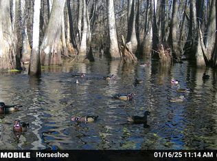 0 Quofaloma Rd, Tchula, MS 39169