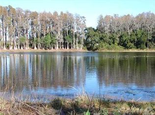 17332 Ballmont Park Dr, Odessa, FL 33556