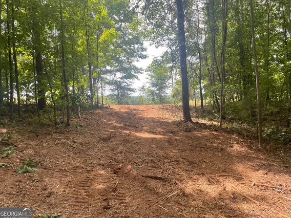 0 Kesler Rd, Carnesville, GA 30521