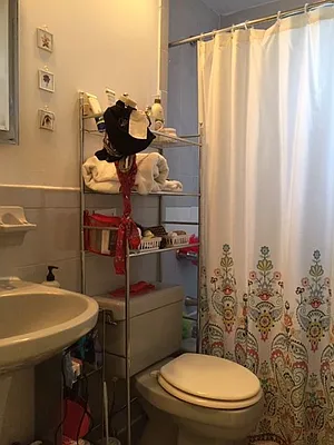 Rented by A D Shaye Realty Group  | media 2