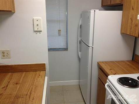 4th image of 8395 Royal Palm Blvd #202