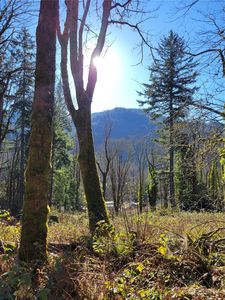 75 XX 271st Avenue SE, Issaquah, WA, 98027