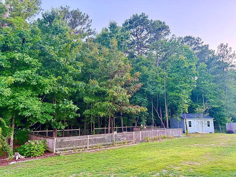 233 Forester Dr — Photo 22