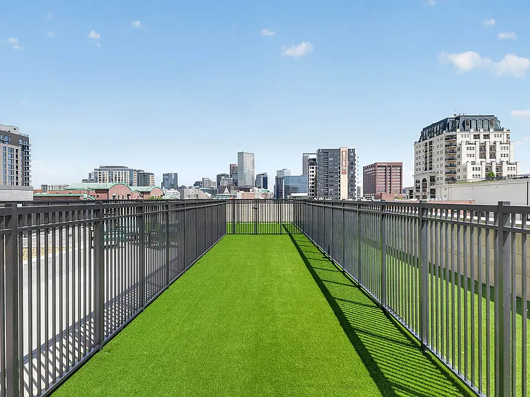 Expansive dog park