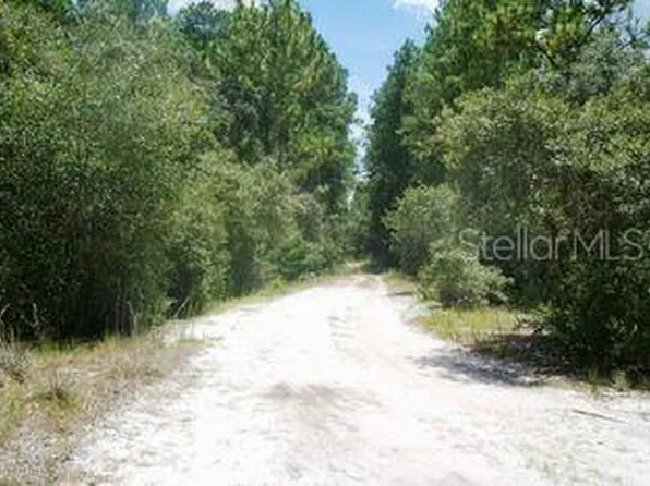 148 Arden St Lot 24, Georgetown, FL 32139