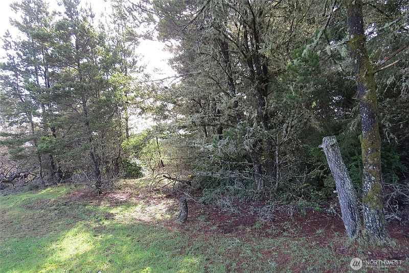 5th image of 326 Wildwood Avenue SE