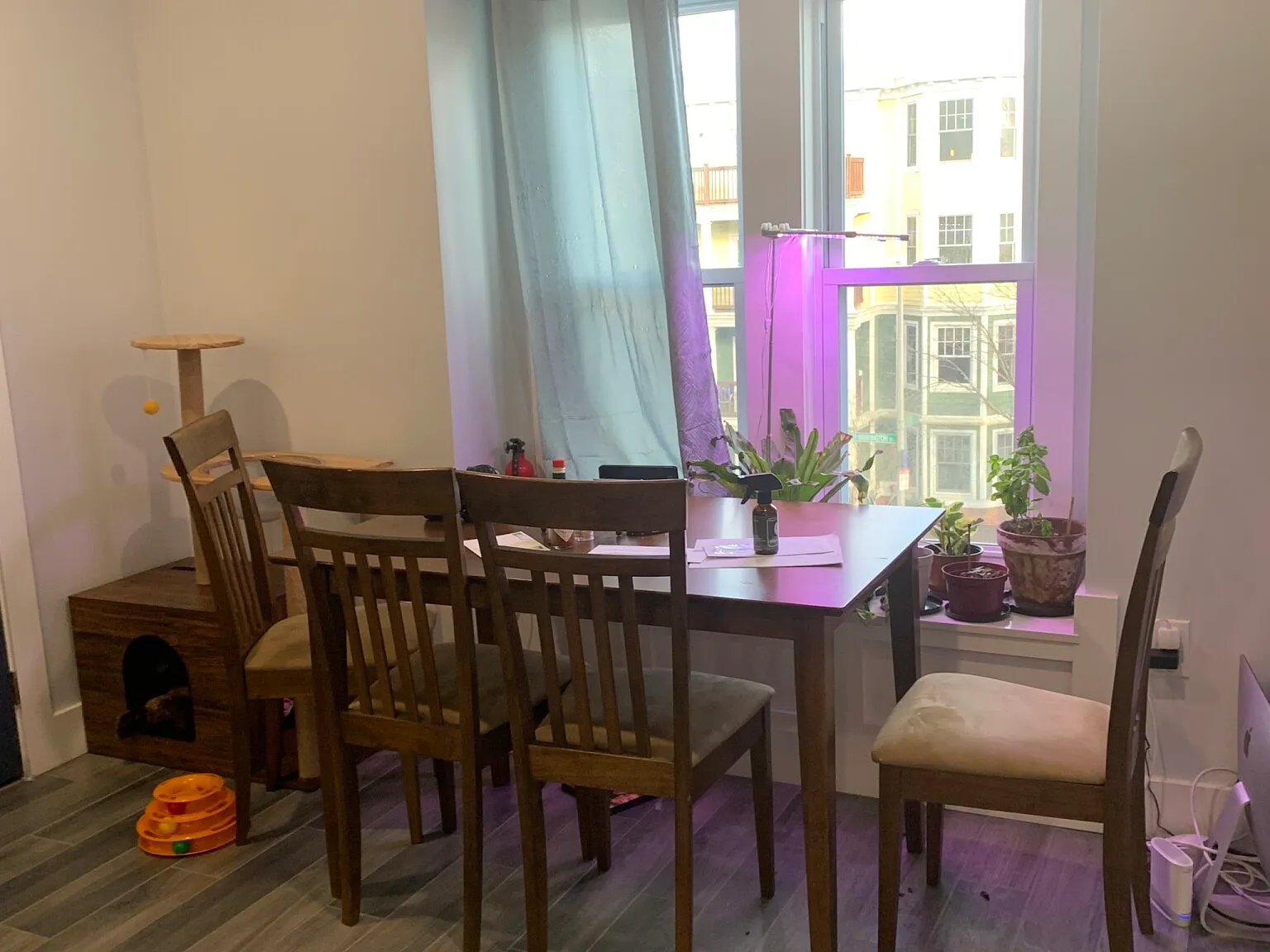 3 bed, 2.0 bath, 1250 sqft, $3,500 — Photo 3