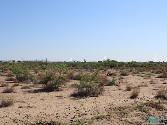 3rd image of Earl Scott Trl SW