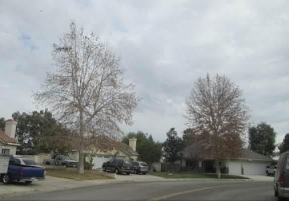 5th image of 19395 Live Oak Ln
