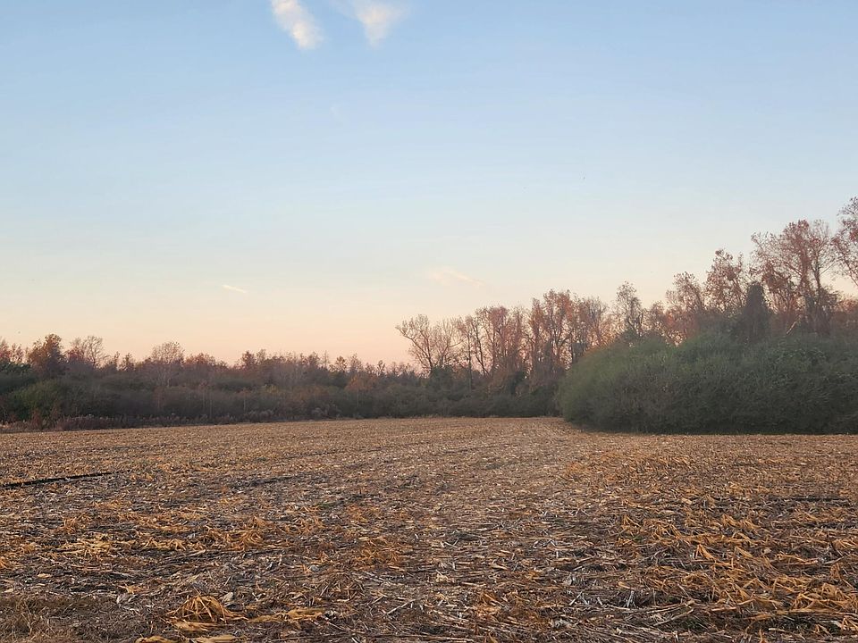 Tbd N North Lake Rd Road, Engelhard, NC 27824 Zillow