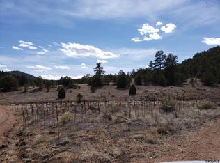 32 Carpenter Trl, Cotopaxi, CO 81223
