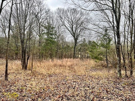 3rd image of 0 Old Shannon Rd