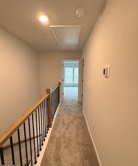 222 Broomside Ave — Photo 27