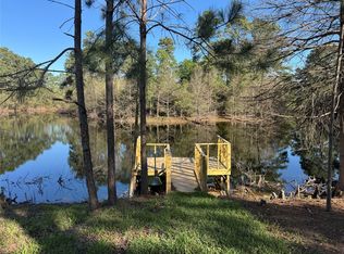 18234 Atkinson Ln, Conroe, TX 77384