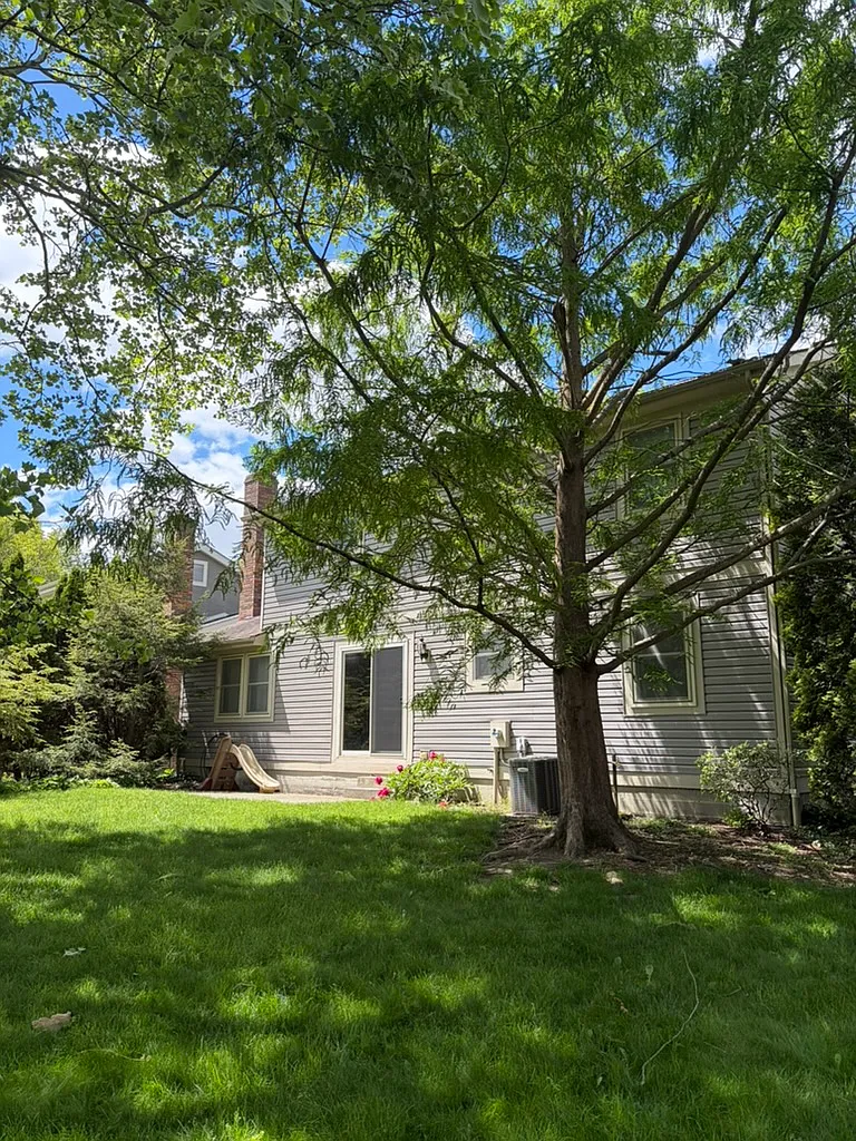6297 Ottawa Place - 1 — Photo 2