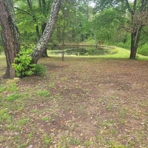 103 Banks Rd, Arkadelphia, AR, 71923