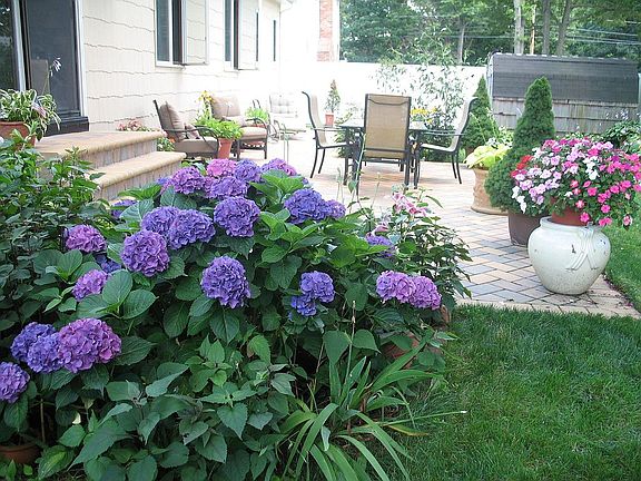 Cambridge patio