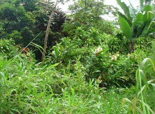 17-4269 South Rd LOT 15, Mountain View, HI 96771