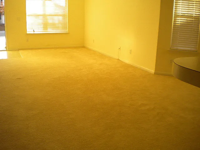 1041 Stoney Falls Blvd — Photo 8
