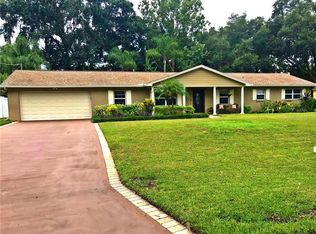 2105 Diane Ave, Valrico, FL 33594