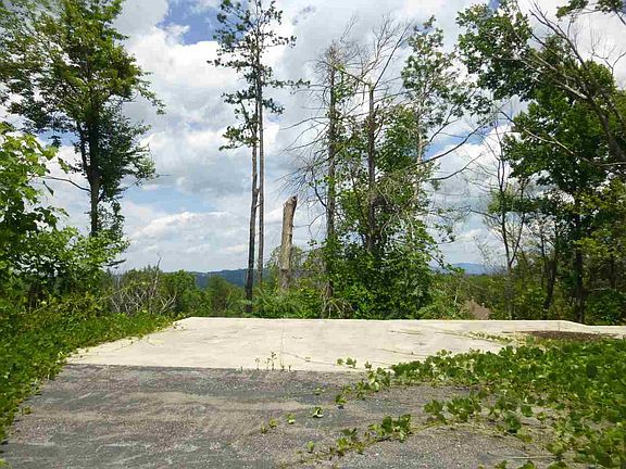 3rd image of 354 Cove Mountain Rd #49.02-048.