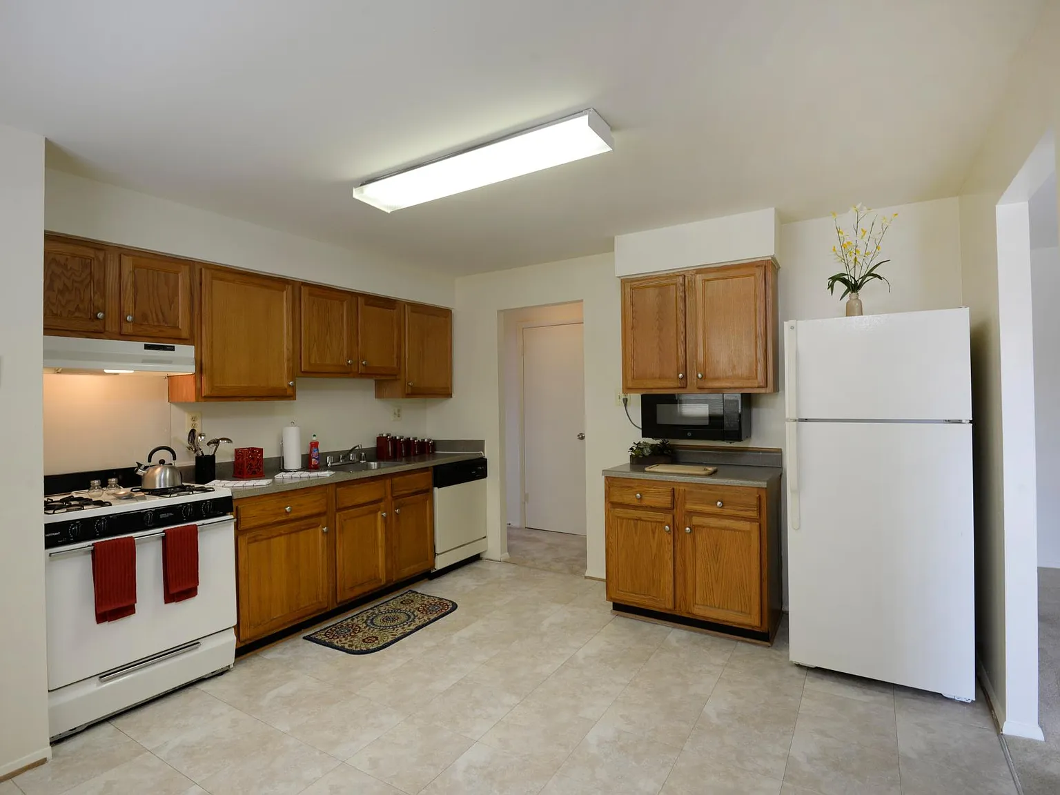 Cub Hill Apartments — Photo 3