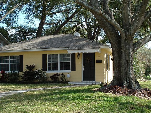 Great trees on property