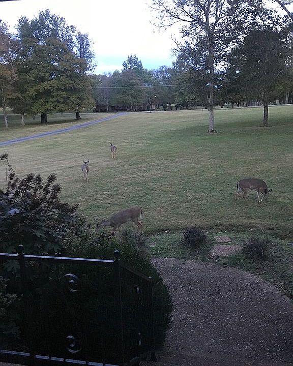 1st image of 3675 Sanford Dr