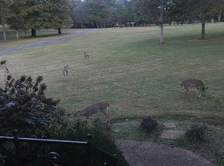 3675 Sanford Dr, Murfreesboro, TN 37130