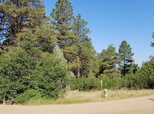 1682 Crooked Rd, Pagosa Springs, CO 81147