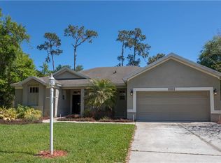 3026 Spring Hammock Dr, Plant City, FL 33566