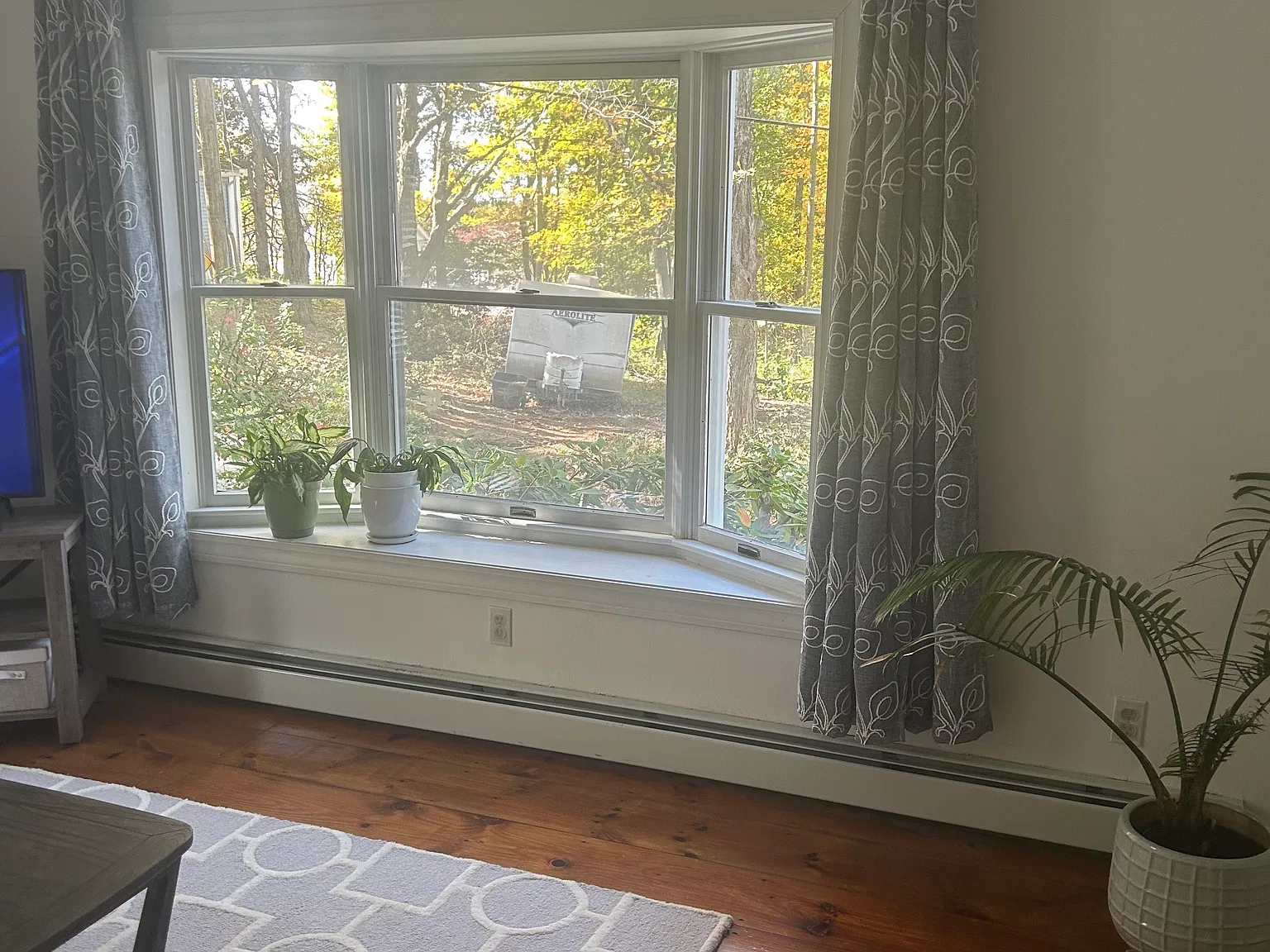 4 bed, 1.5 bath, 2006 sqft, $2,500 — Photo 4