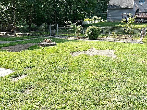 Back yard of 909 Lancaster St.