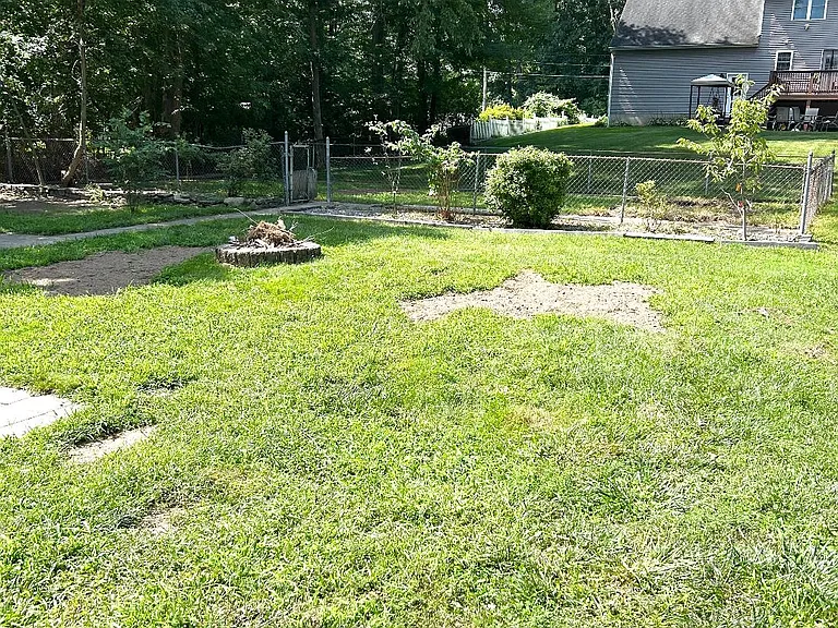 Back yard of 909 Lancaster St.