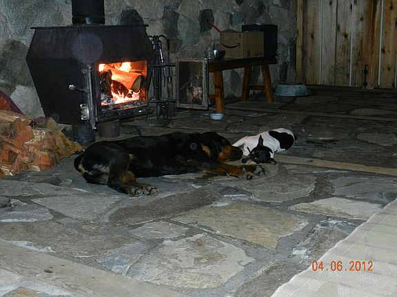 Greenhouse Woodstove