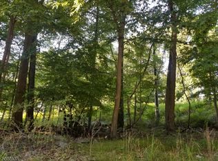 176 Naughright Rd, Long Valley, NJ 07853