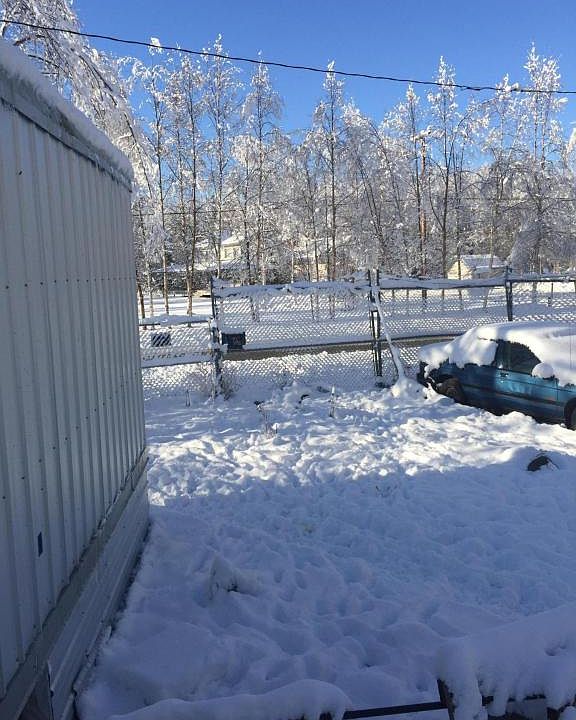 1st image of 16011 Shims St